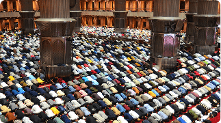 Iste vero quam rerum